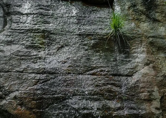Unit 10 - Slide Rock